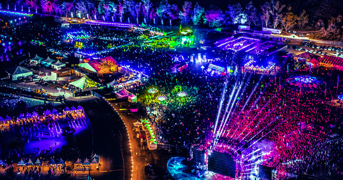 Nocturnal Wonderland